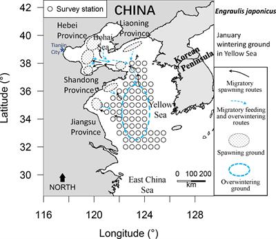 Exploring reconfiguration of trends in CPUE to model sustainable TAC options for the pivotal YSLME anchovy fishery